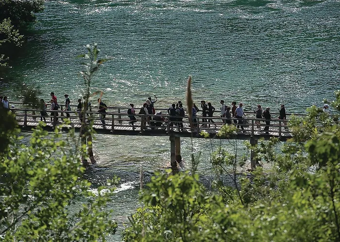 Appartement 1 Bedroom Cozy In